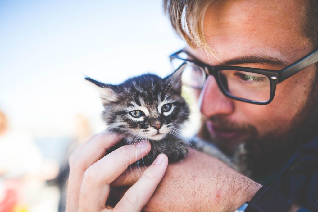 Pet Laws in Strata: What You Need to Know About Recent Changes